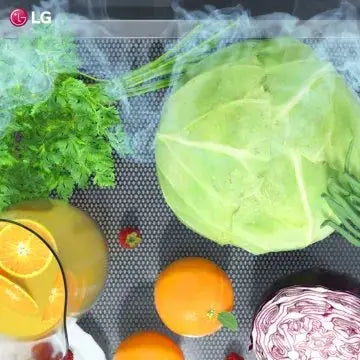 Réfrigérateur combiné	LG	GBB72SWVDN