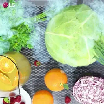 Réfrigérateur combiné	LG	GBP31SWLZN