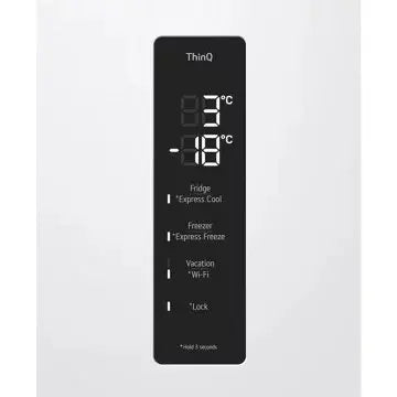 Réfrigérateur combiné		LG	GBV5250DSW