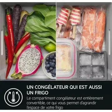 Réfrigérateur combiné encastrable 							AEG				NSC9V181CS MultiChill